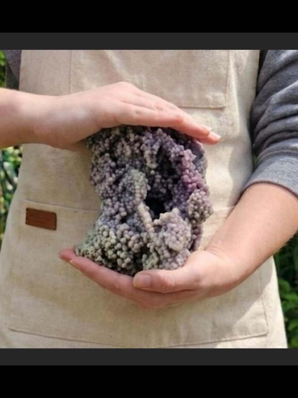 OFFERS WELCOME! 3lbs Grape Agate High Quality Botryoidal BIG Specimen Decorative